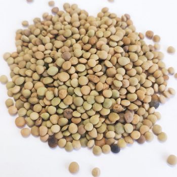 Chinese Lentils top quality Green lentils