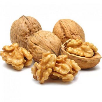Good Quality 185 Walnut Kernels ELH  New Crop