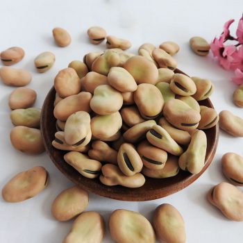 High Quality Broad Beans/ Fava Beans With Competitive Price