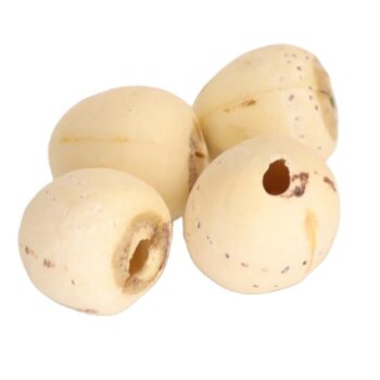 New Crop High Quality Dried White Lotus Seeds From China